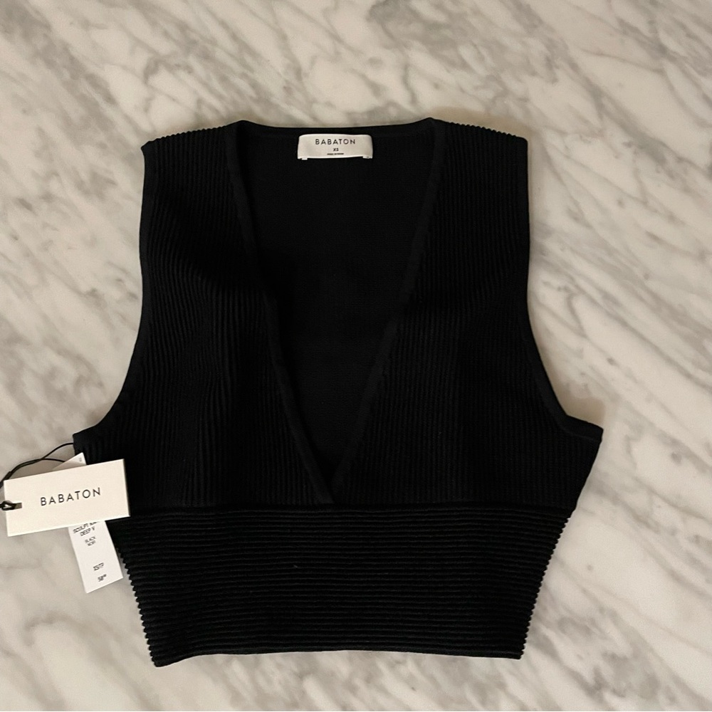 NWT Babaton Sculpt Knit Deep V Tank